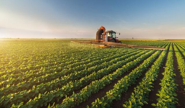 油茶施用硼肥技术